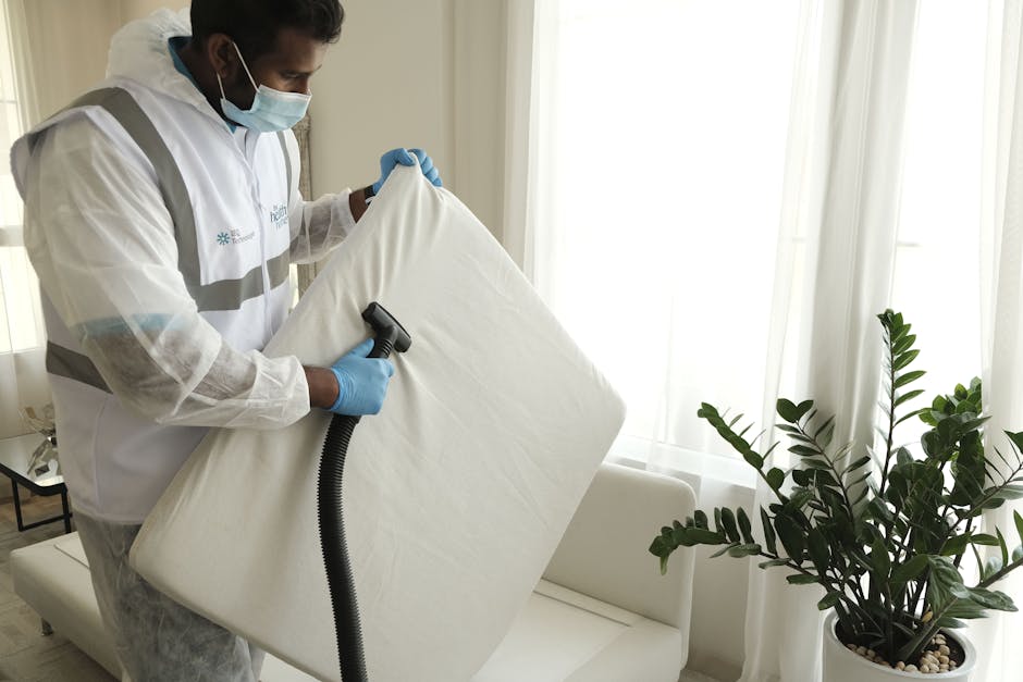 Upholstery and Sofa Cleaner in Mansfield